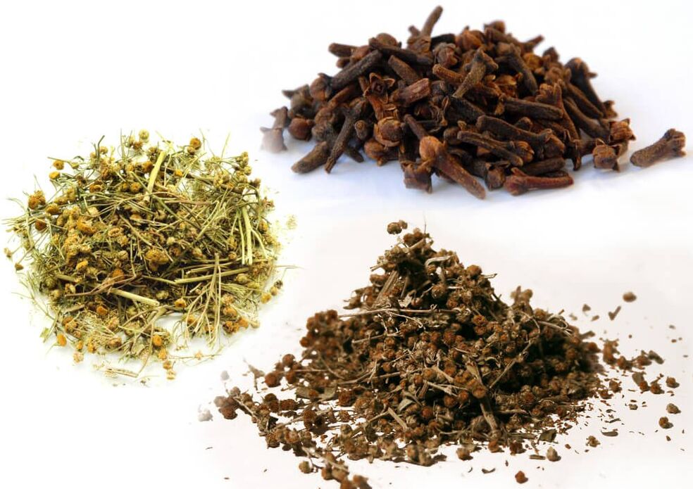 Assenzio, tanaceto e chiodi di garofano per eliminare i parassiti
