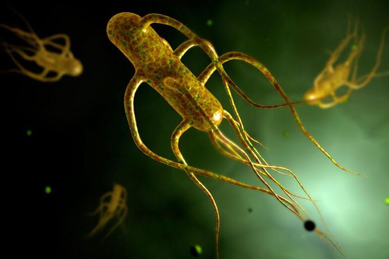 La Salmonella vive nell'intestino umano